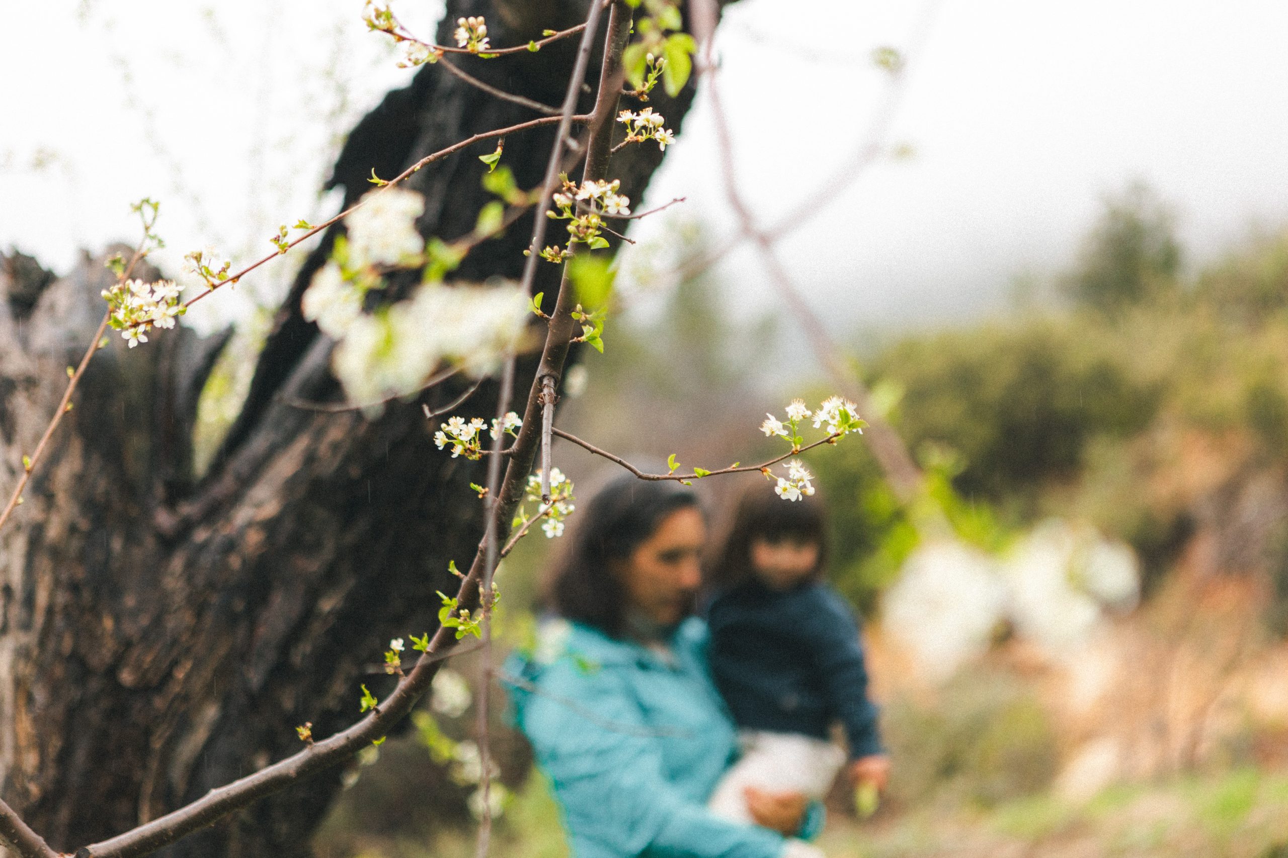 Madre conectando con su hijo — MamaMamita